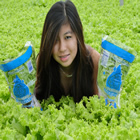 Plants: image 1 0f 50 thumb