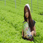 Plants: image 3 0f 50 thumb