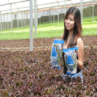 Plants: image 4 0f 50 thumb