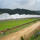 Plants: image 23 0f 50 thumb