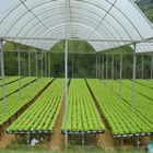 Plants: image 24 0f 50 thumb