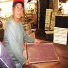 Plants: image 27 0f 50 thumb