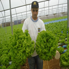 Plants: image 42 0f 50 thumb