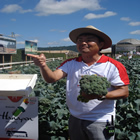 Plants: image 64 0f 50 thumb