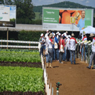 Plants: image 61 0f 50 thumb