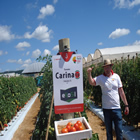 Plants: image 62 0f 50 thumb