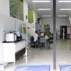 Plants: image 4 0f 50 thumb